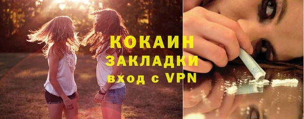 ECSTASY Алзамай