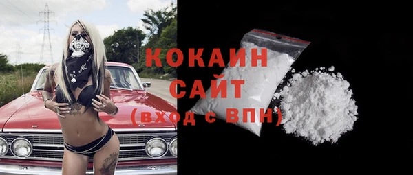 ECSTASY Алзамай