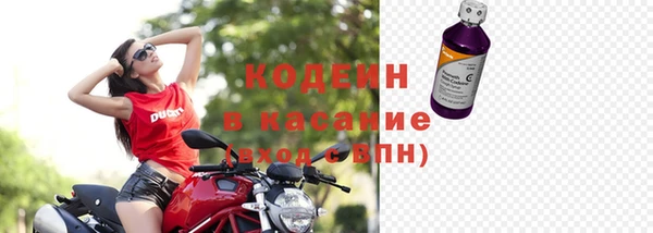 ECSTASY Алзамай