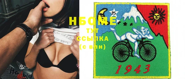 ECSTASY Алзамай