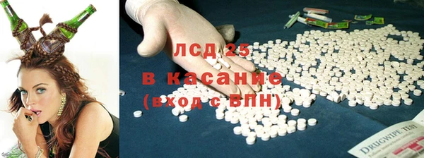 ECSTASY Алзамай