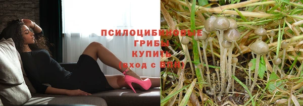 ECSTASY Алзамай