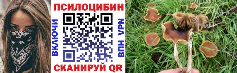 Псилоцибиновые грибы прущие грибы  kraken ONION  Макушино 